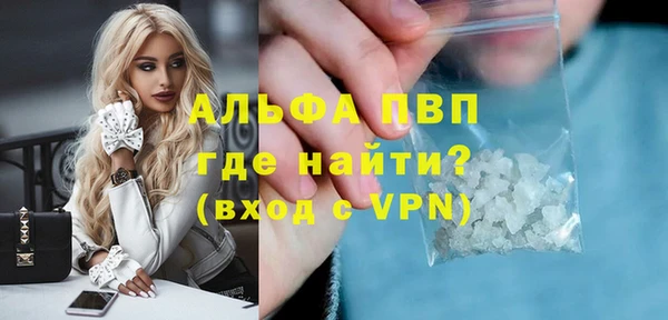 дмт Инта