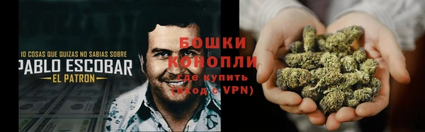 Альфа ПВП Инсар