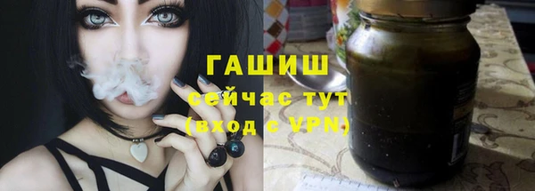 Альфа ПВП Инсар