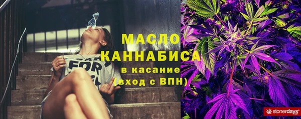 apvp Каменногорск