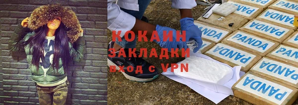Альфа ПВП Инсар