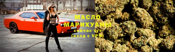 дмт Инта