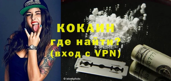дмт Инта