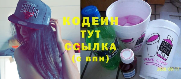 дмт Инта